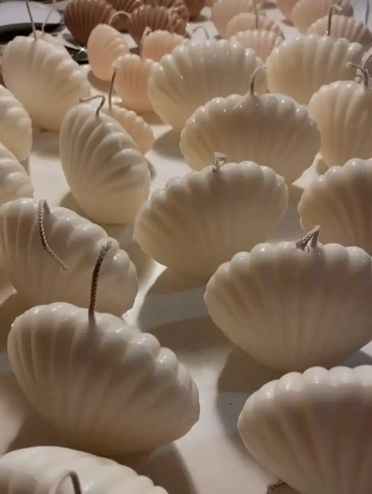 Shell Candle